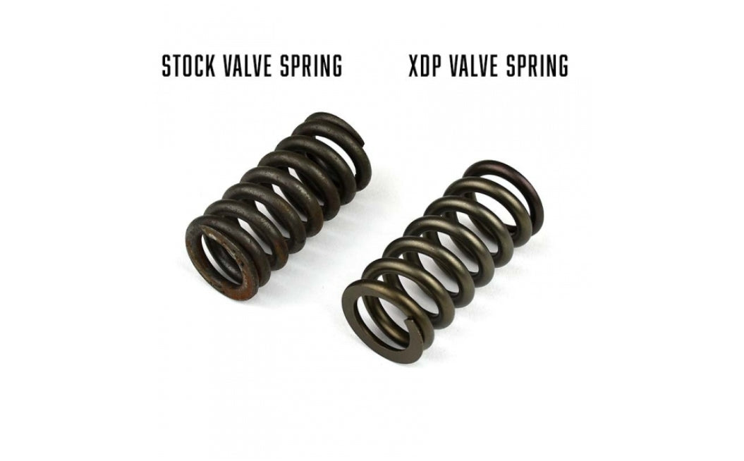 Heavy Duty High Boost Valve Spring Set 2003-2010 Ford 6.0L/6.4L Powerstroke XDP